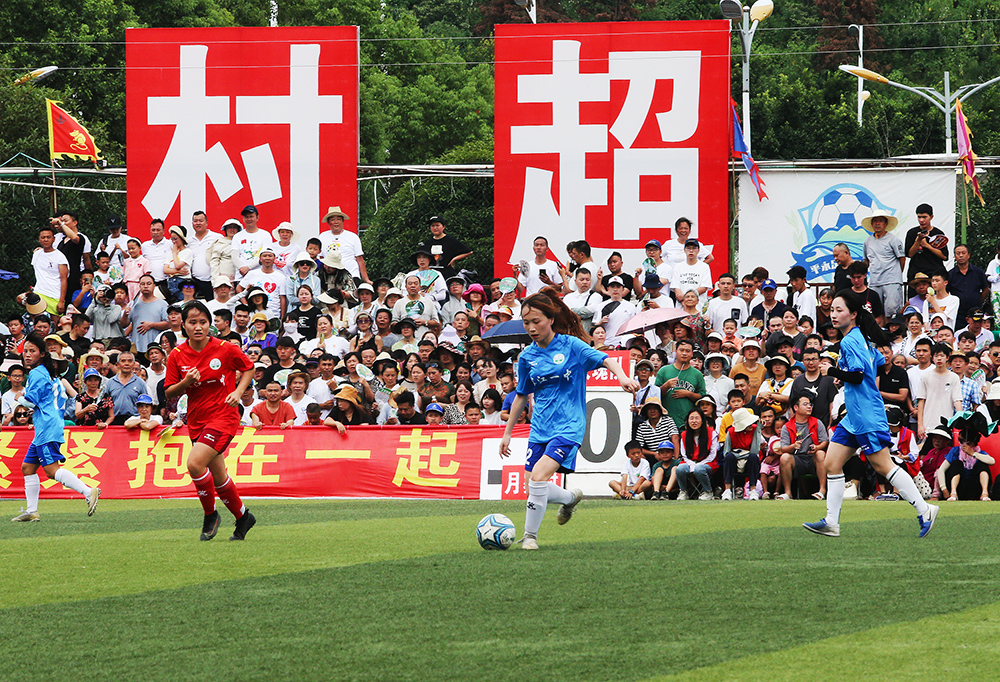 不仅是个体 不仅是个体